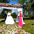 Выездная регистрация, выездная регистрация брака в Волгограде, организация выездной регистрации